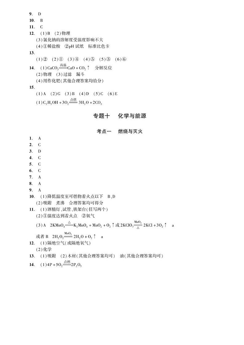 初中化学中考复习 2023化学中考集训:专题十 化学与能源(PDF答案版)第1页