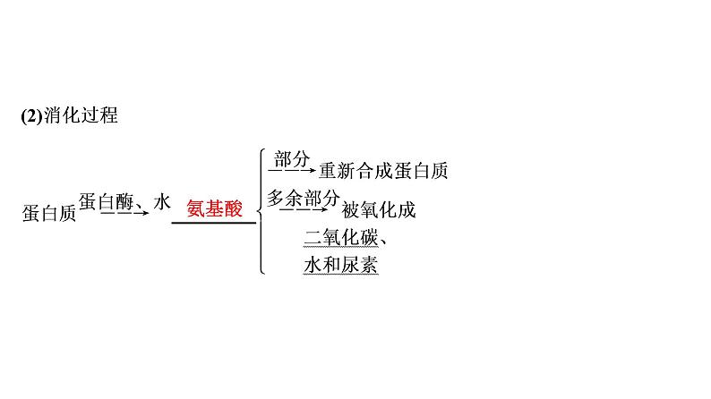 初中化学中考复习 第12单元 化学与生活课件PPT04