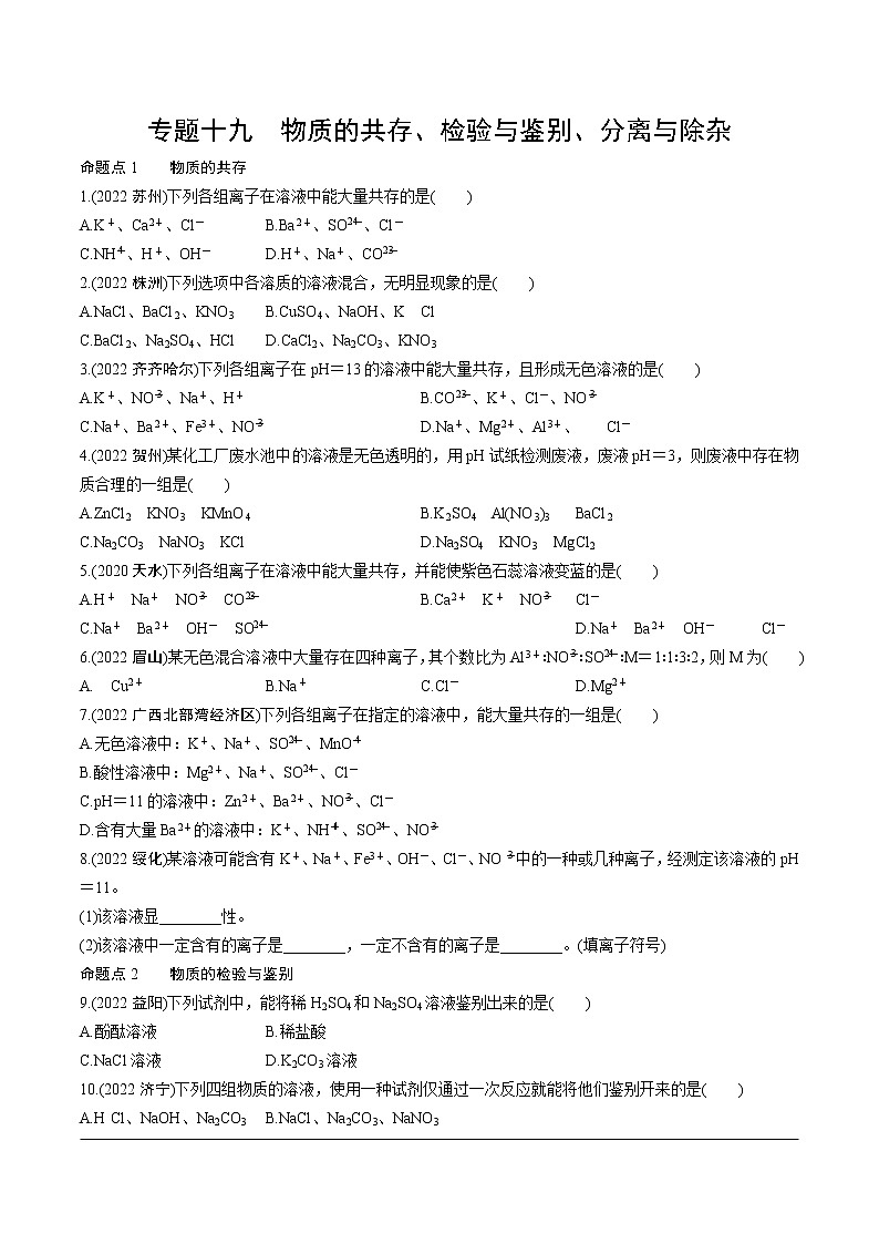 2023年中考化学一轮基础知识专题练习 专题十九 物质的共存、检验与鉴别、分离与除杂(无答案)第1页