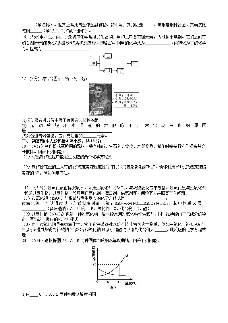 人教版化学九年级下 中考化学模拟试卷3第3页