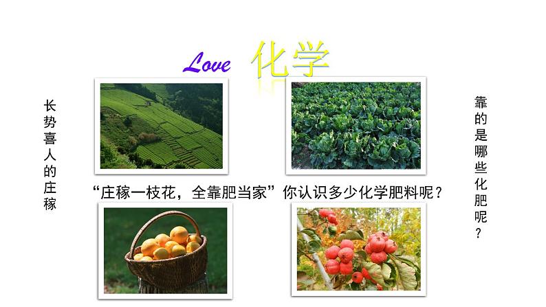 11.3 化学与农业生产 课件-2022-2023学年九年级化学鲁教版下册01