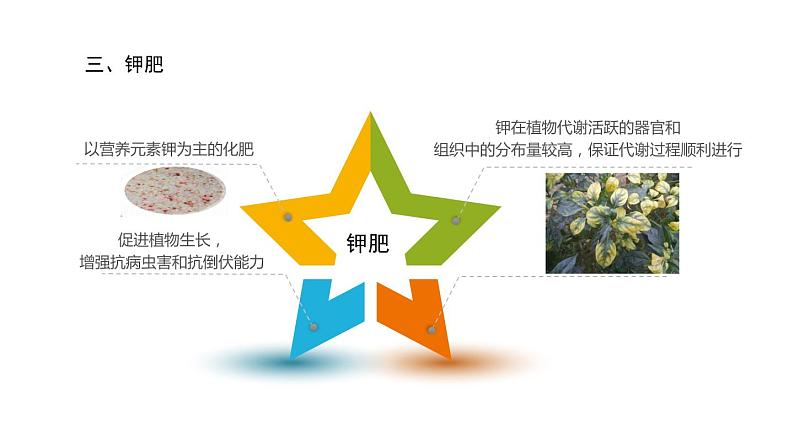 11.3 化学与农业生产 课件-2022-2023学年九年级化学鲁教版下册08