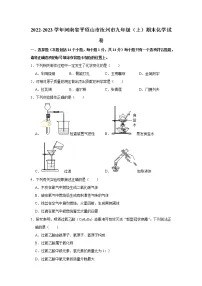 2022-2023学年河南省平顶山市汝州市九年级(上)期末化学试卷
