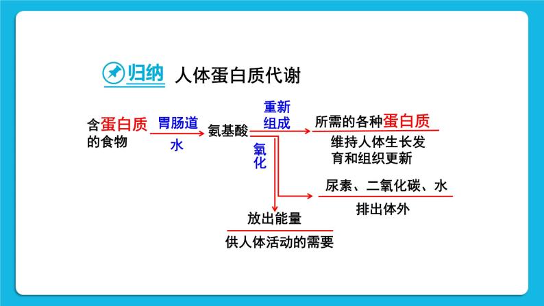 第十二单元 化学与生活 课题1 人类重要的营养物质 课件+教案+导学案+素材07