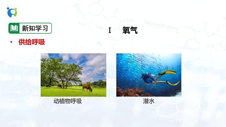 课时2 空气是一种宝贵的资源第4页