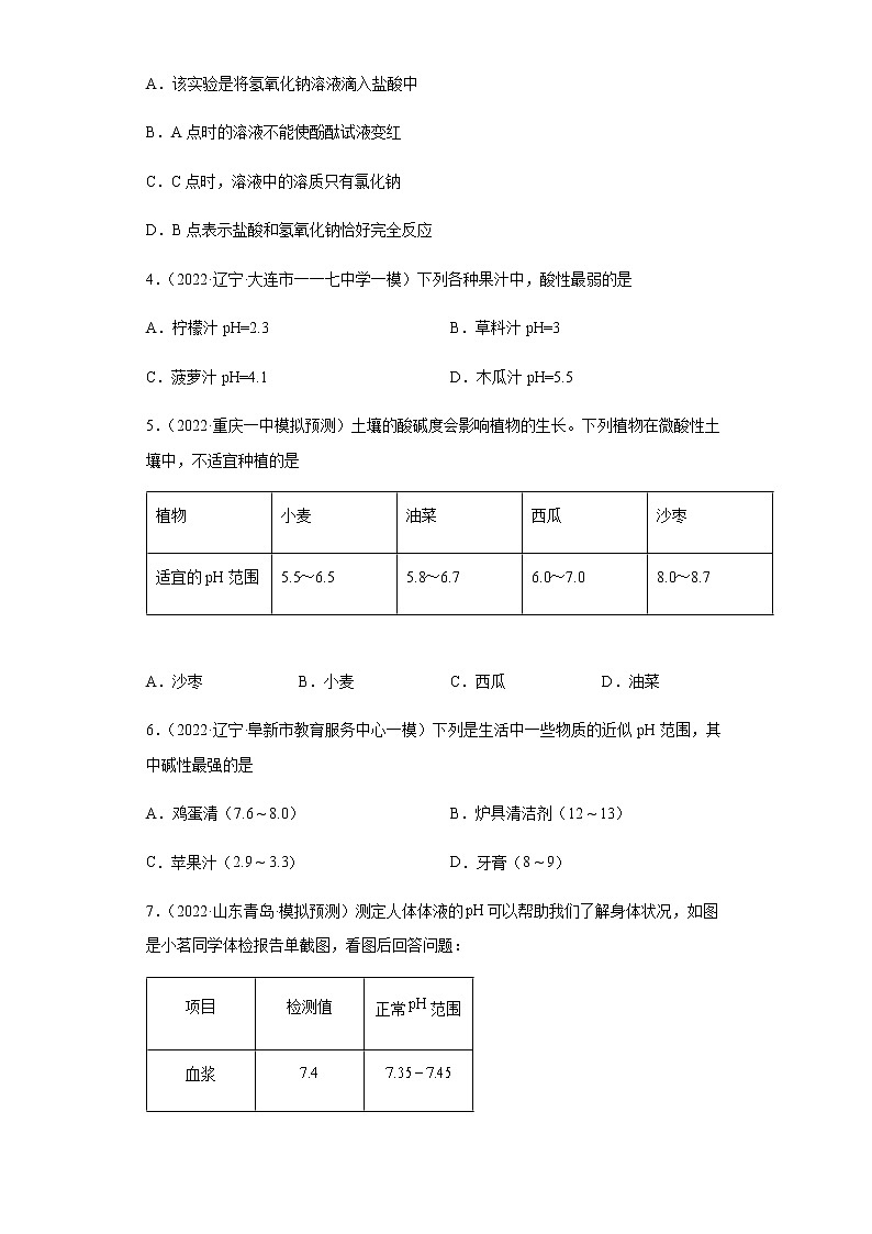 实验活动7 溶液酸碱性的检验(课时练)-九年级化学下册同步教学课件+课时练(人教版)02