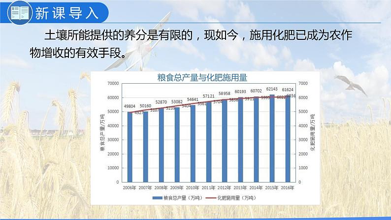 11.2 化学肥料(教学课件)-九年级化学下册同步教学课件+课时练(人教版)03