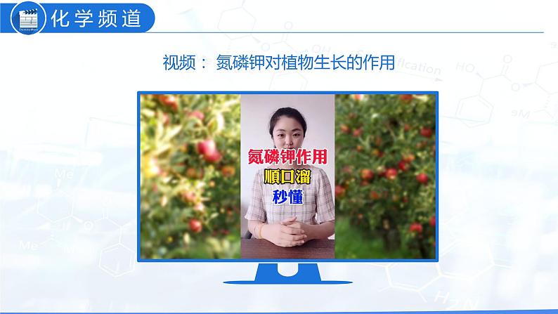 11.2 化学肥料(教学课件)-九年级化学下册同步教学课件+课时练(人教版)05