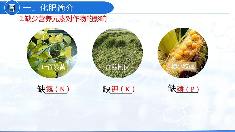 11.2 化学肥料(教学课件)-九年级化学下册同步教学课件+课时练(人教版)07