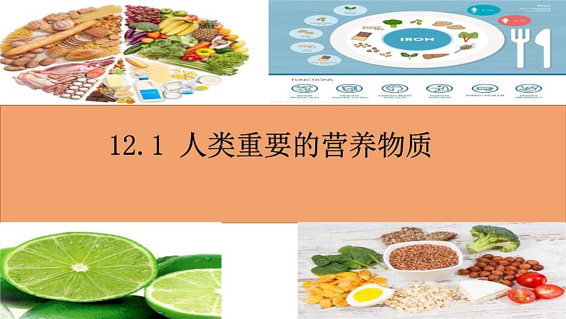 12.1 人类重要的营养物质课件01
