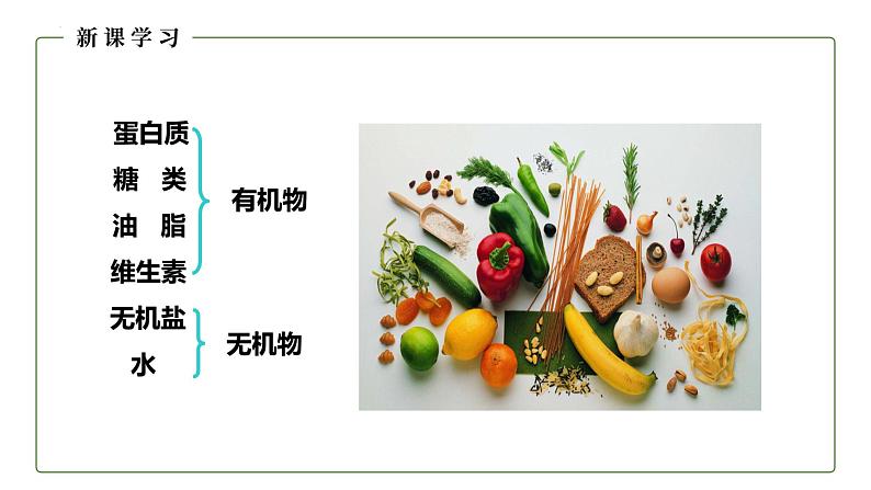 12.1 人类重要的营养物质课件04