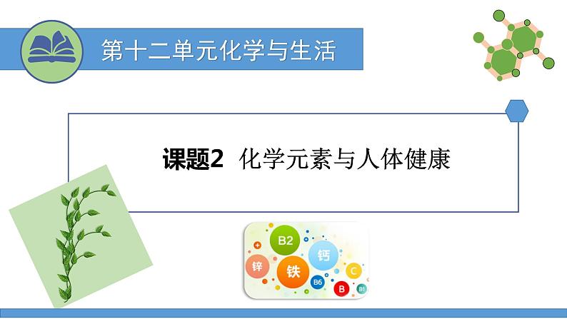 12.2化学元素与人体健康 课件第1页