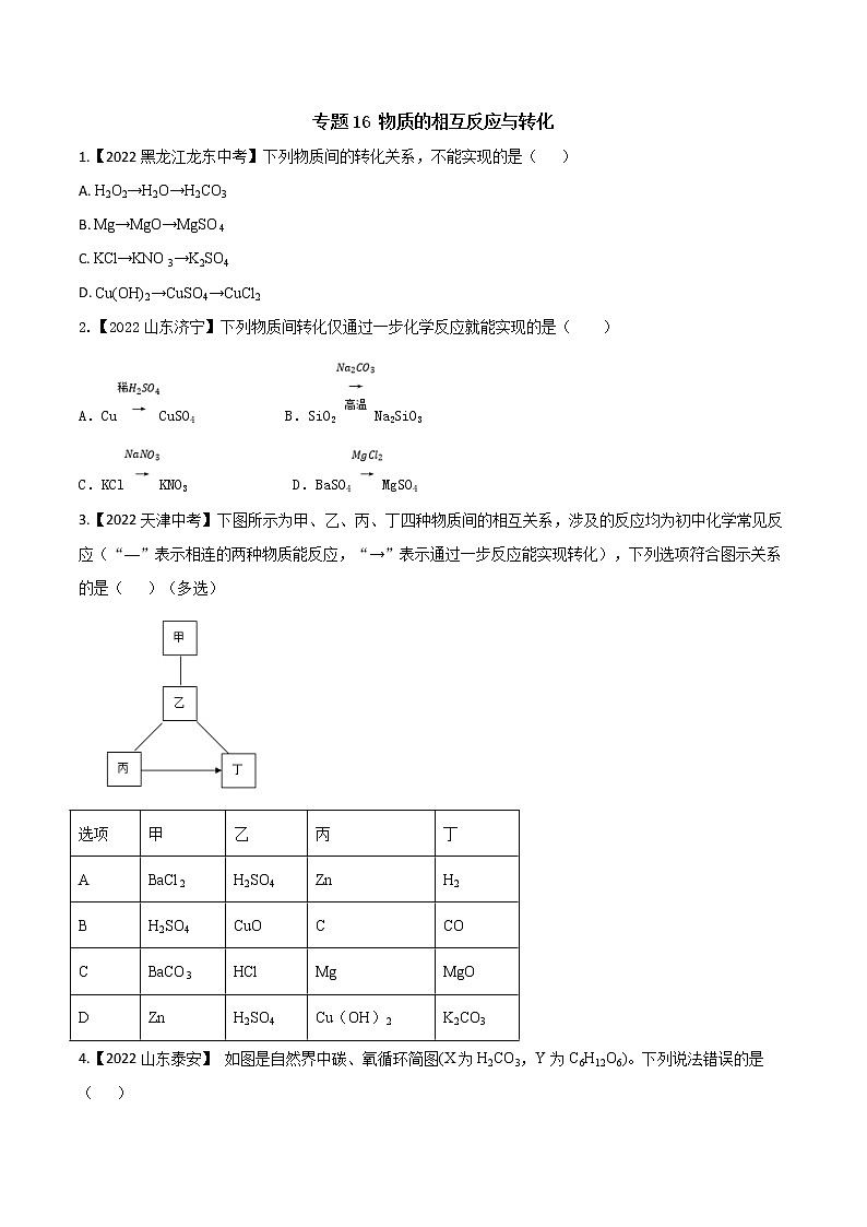 2022年中考化学真题分类汇编 专题16 物质的相互反应与转化(原卷版)第1页
