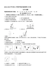 山东省临沂市莒南县2022-2023学年九年级上学期期末化学试题(含答案)