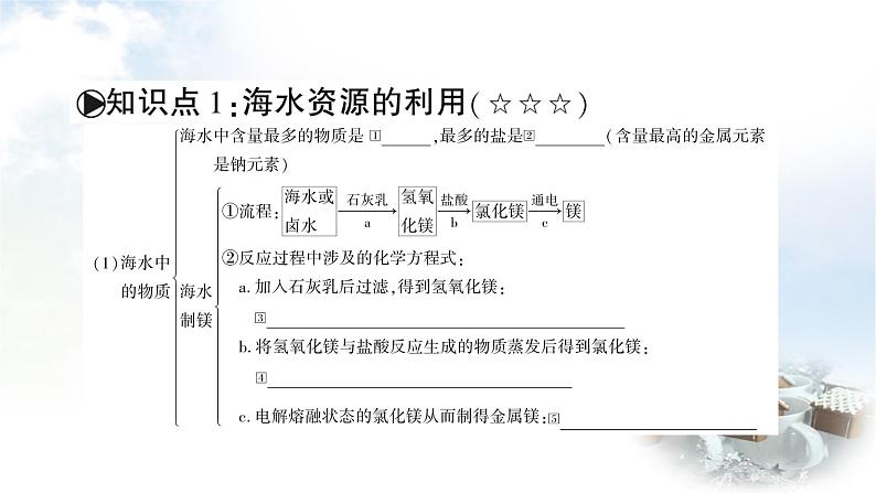 鲁教版中考化学复习第八单元海水中的化学教学课件03