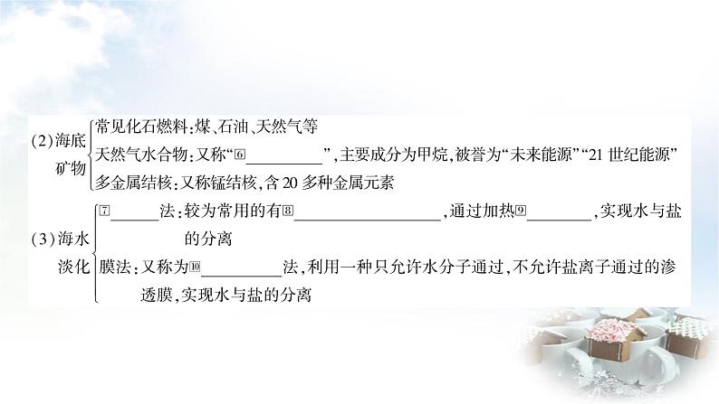 鲁教版中考化学复习第八单元海水中的化学教学课件04