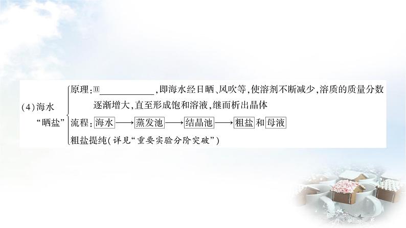 鲁教版中考化学复习第八单元海水中的化学教学课件05