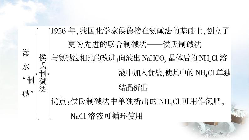 鲁教版中考化学复习第八单元海水中的化学教学课件07