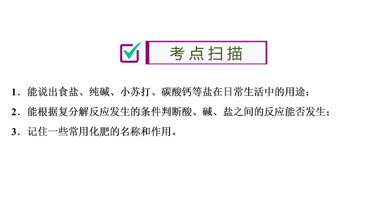中考化学复习第11单元 盐 化肥课件PPT第2页