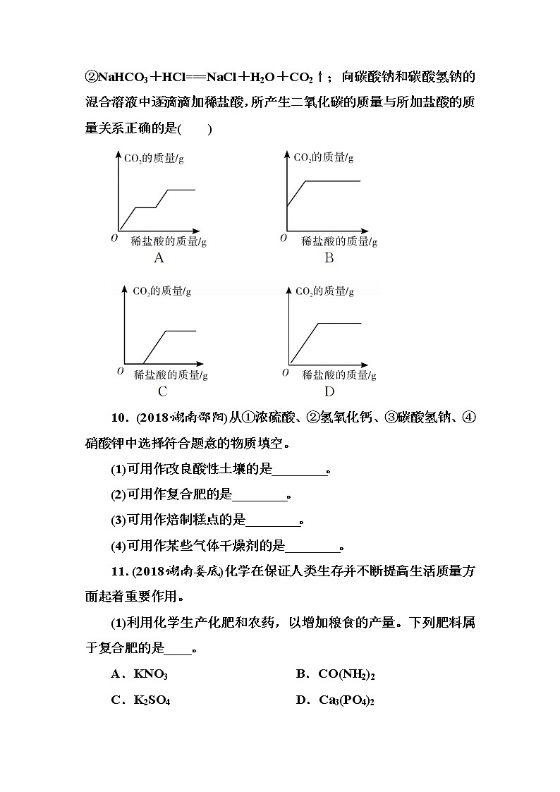 中考化学复习第11单元 盐 化肥第3页