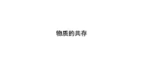 2023年中考化学二轮复习考点专题突破 物质的共存课件