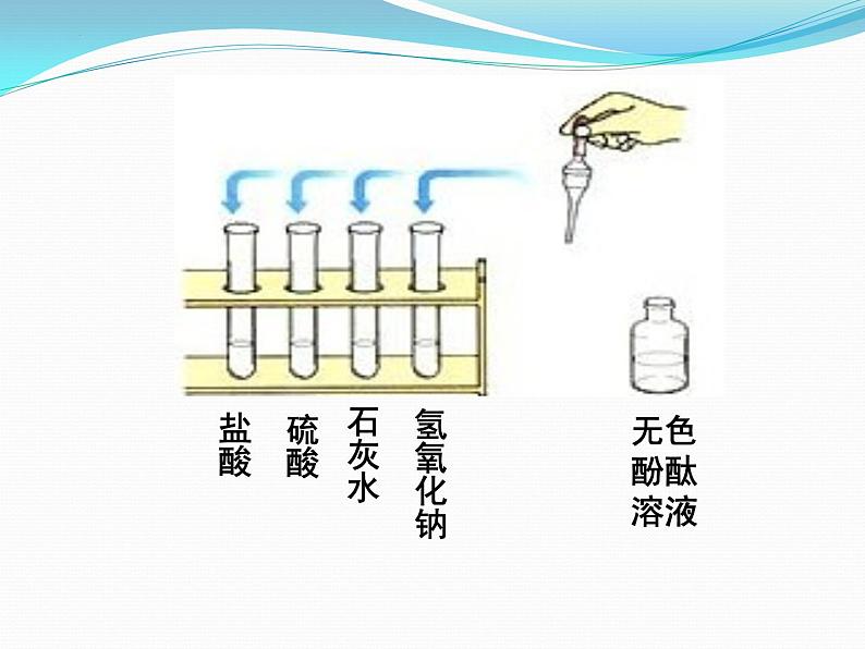 10.1常见的酸和碱课件第5页