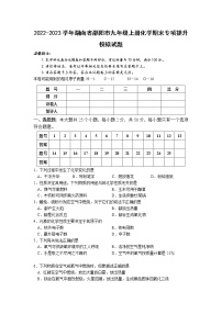 2022-2023学年湖南省邵阳市九年级上册化学期末专项提升模拟试题（含解析）
