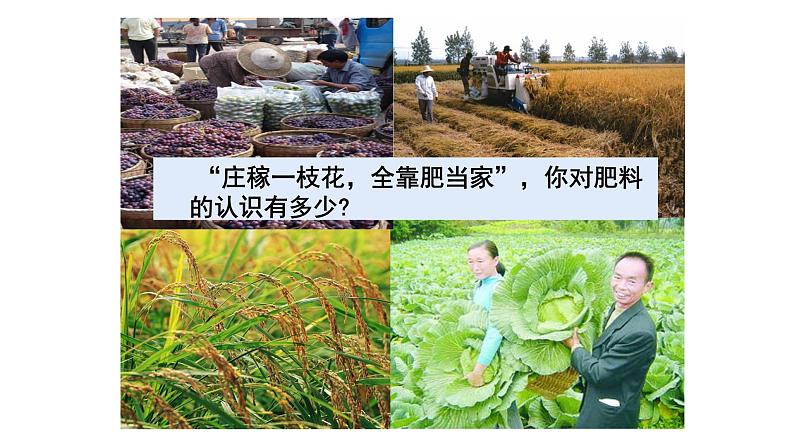 11.2 化学肥料课件PPT第2页