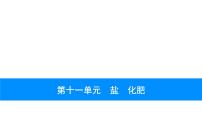 2023年中考安徽专用化学一轮考点知识梳理第十一单元　盐　化肥课件PPT