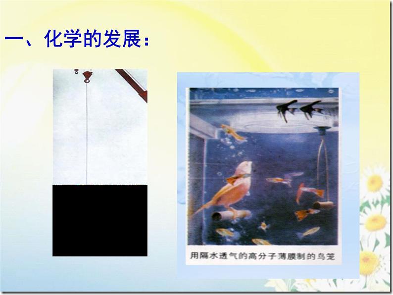 人教版(五四制)化学八年级全一册 绪言 化学使世界变得更加绚丽多彩 课件08