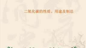人教版（五四制）化学八年级全一册 6.2 二氧化碳制取研究 课件02