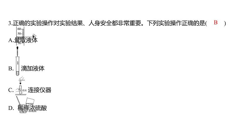 备考2023中考真题卷——张家界市2022年初中学业水平考试(湖南专版)课件PPT第5页