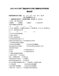 2022-2023学年广西省桂林市九年级下册期中化学专项突破模拟试卷（含解析）