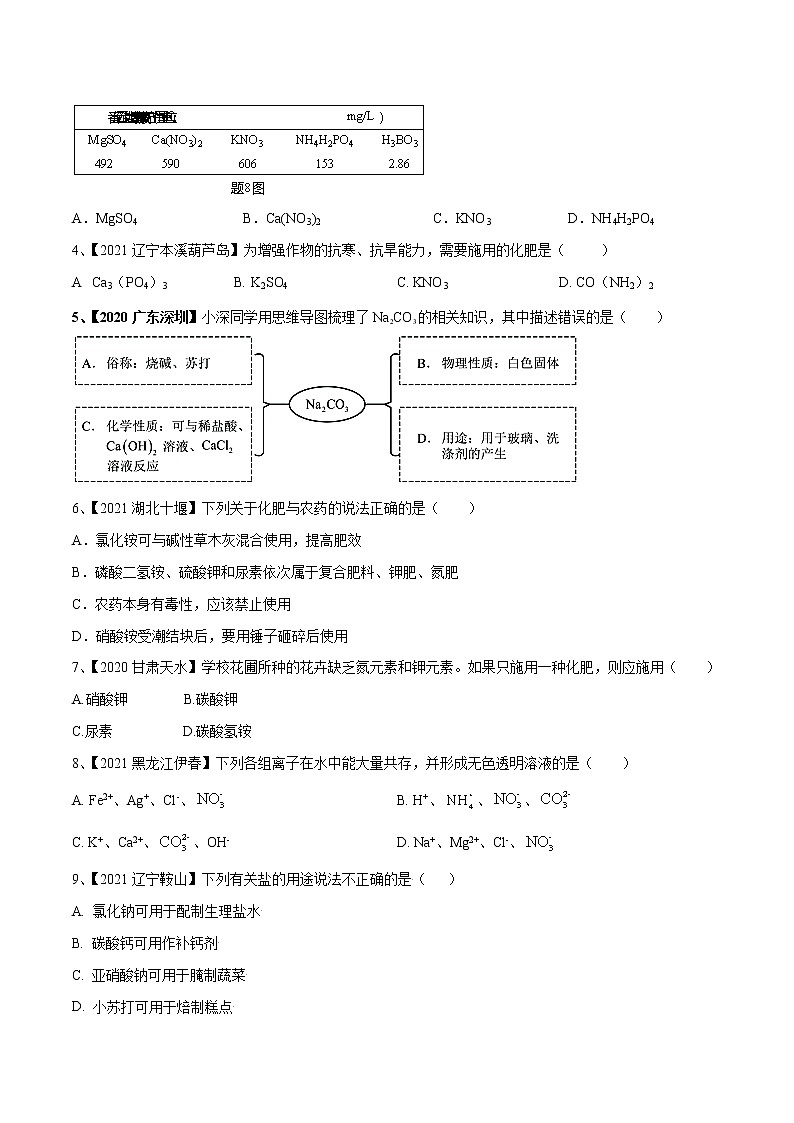 专题08 盐与化肥(讲通练透)-(学生版)第2页