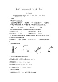 重庆市第八中学2022-2023学年九年级下学期第一次月考化学试题