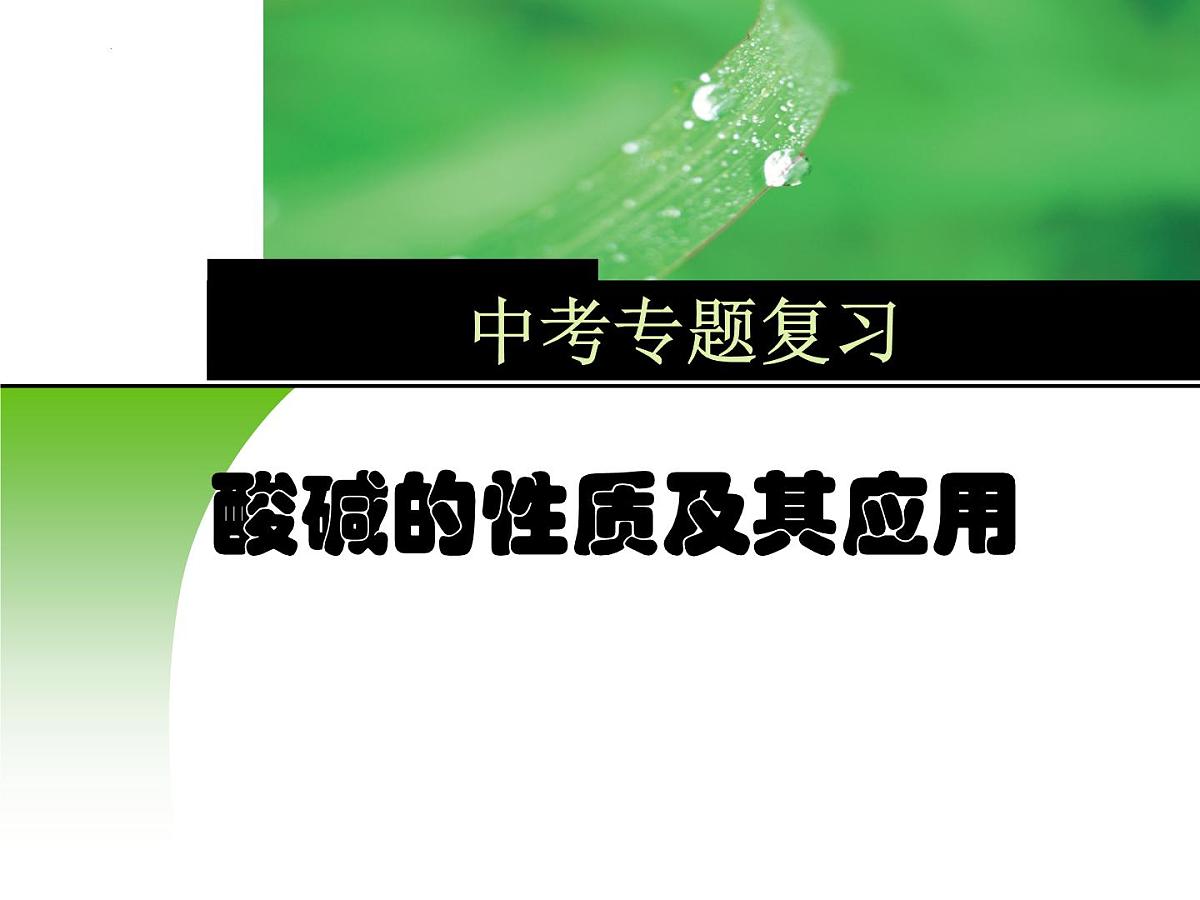 2023年中考化学二轮专题复习酸碱的性质及其应用课件第1页