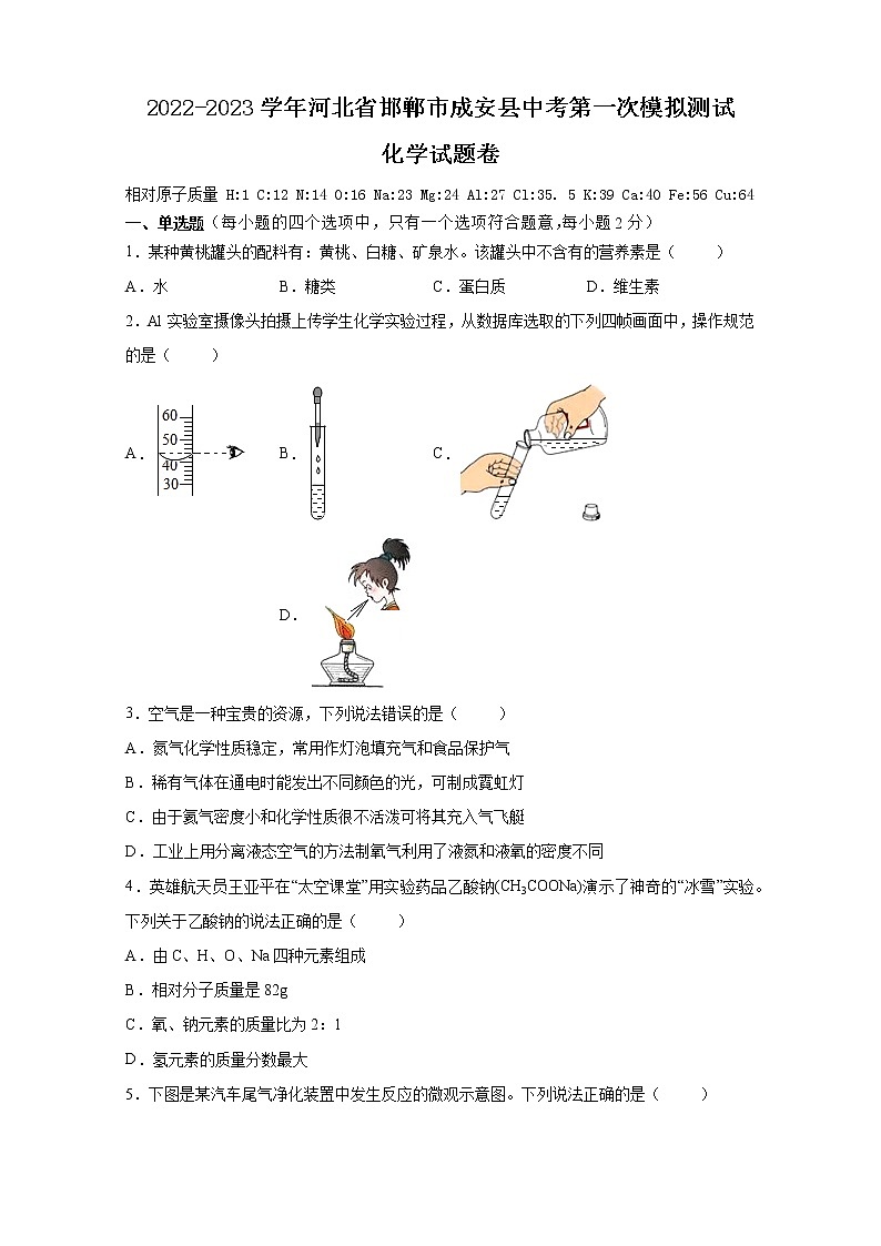 2023年河北省邯郸市成安县中考第一次模拟测试化学试题卷(含答案)01