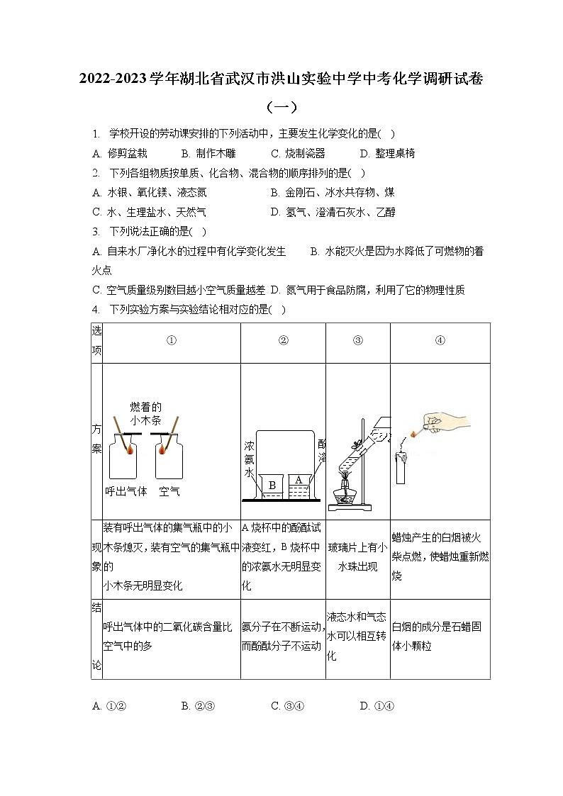 2022-2023学年湖北省武汉市洪山实验中学中考化学调研试卷(一)(含答案解析)01
