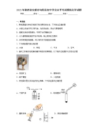 2023年陜西省安康市旬陽縣初中學(xué)業(yè)水平考試模擬化學(xué)試題
