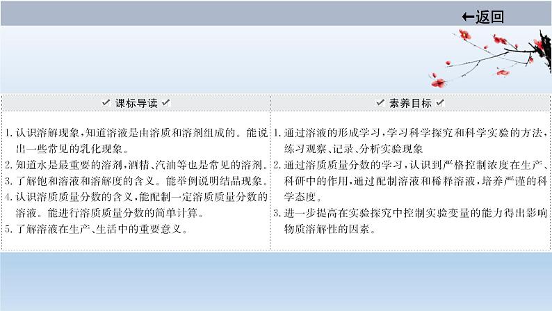 中考化学一轮单元总复习课件 第九单元 溶液 (含答案)第2页
