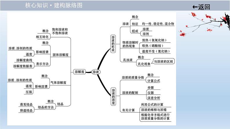 中考化学一轮单元总复习课件 第九单元 溶液 (含答案)第3页
