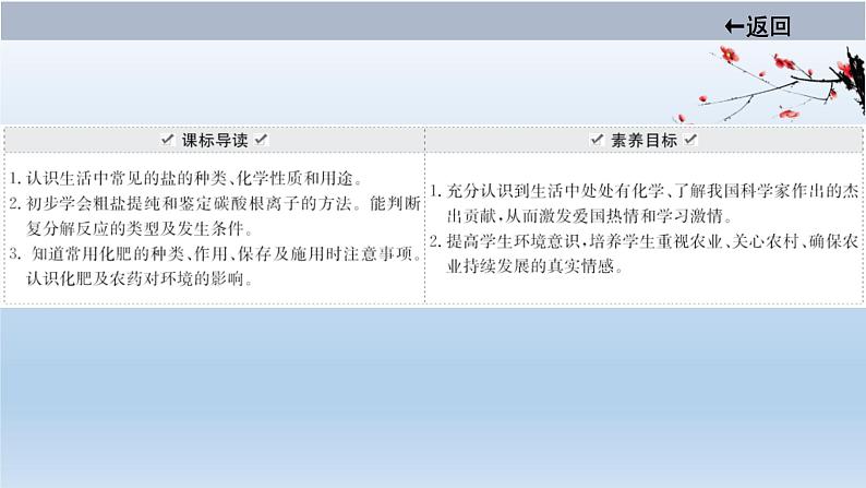 中考化学一轮单元总复习课件 第十一单元 盐 化肥 (含答案)第2页