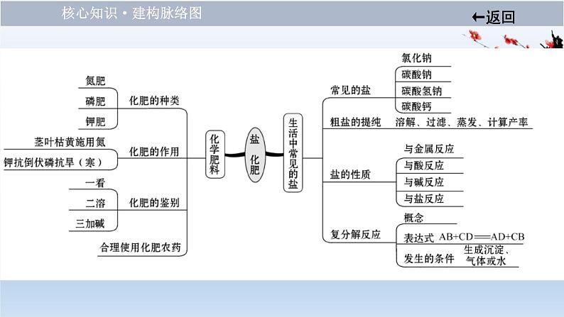 中考化学一轮单元总复习课件 第十一单元 盐 化肥 (含答案)第3页