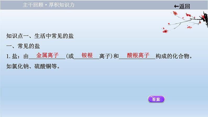 中考化学一轮单元总复习课件 第十一单元 盐 化肥 (含答案)第4页