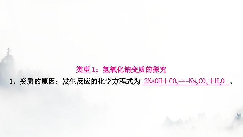 中考化学复习重难突破10碱变质的探究练习课件第4页