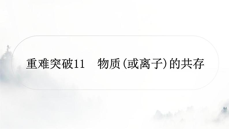 中考化学复习重难突破11物质(或离子)的共存练习课件第1页