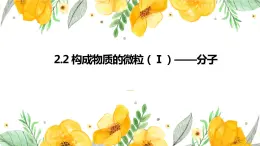 2.2构成物质的微粒（Ⅰ）--分子课件---2022-2023学年九年级化学科粤版（2012）上册