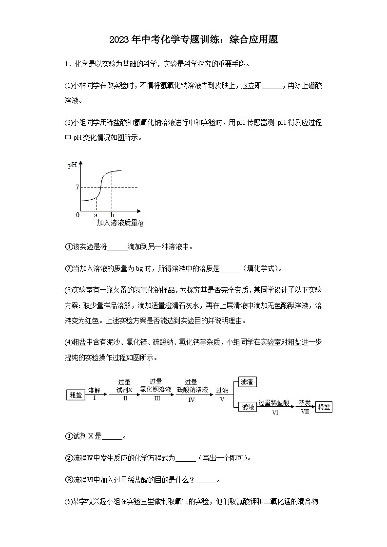 2023年中考化学专题训练综合应用题第1页