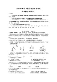 2023年山东省潍坊市初中学业水平模拟考试化学试题（三）（含答案）