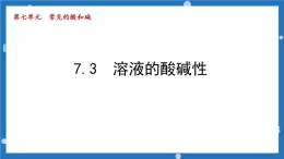 第七单元第三节溶液的酸碱性-2022-2023学年九年级化学鲁教版下册课件PPT